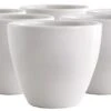 Joefrex Cupping Bowl 228 Ml, 6 Pcs 1 Joefrex Cupping Bowl 228 Ml, 6 Pcs -Craghoppers shop 11415 6c58b61410ac63778adae0fd07fed846
