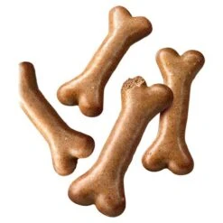 Pedigree Biscrok Gravy Bones Biscuit Original Adult Dog Treat -Craghoppers shop 5375773 T3 ojtvey