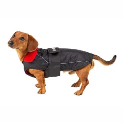 Dryrobe - Dog Black/Red