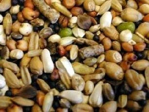 Willsbridge Pigeon Conditioner Mix 20kg 4 Willsbridge Pigeon Conditioner Mix 20kg - Image 2