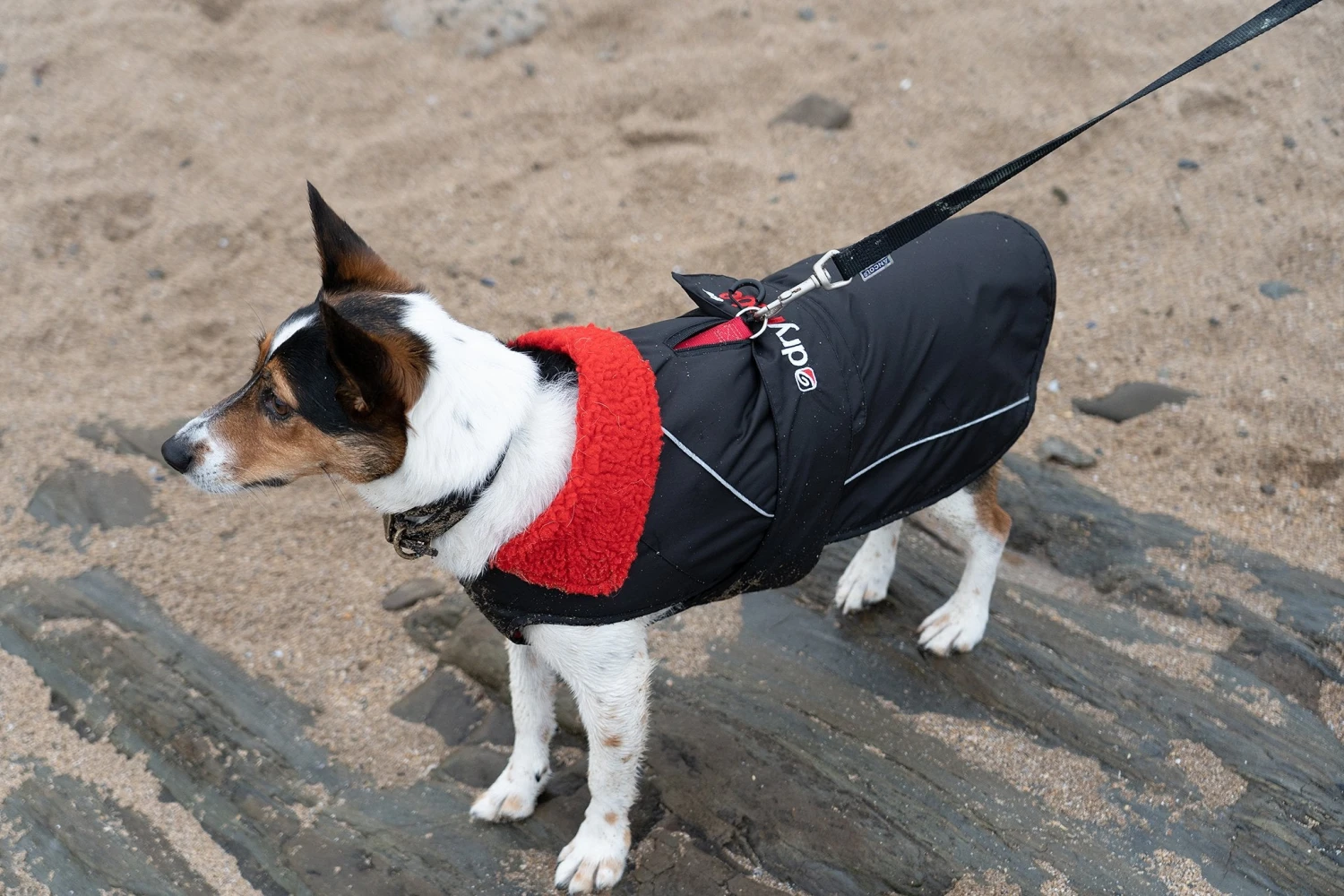 Dryrobe - Dog Black/Red 7 Dryrobe - Dog Black/Red - Image 5