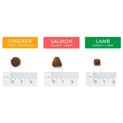 Canine Choice Super Premium Grain-free Small Adult Dry Dog Food – Lamb