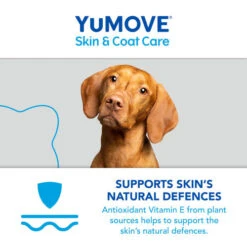 YuMOVE Skin & Coat Care Moulting For Adult Dogs 17 YuMOVE Skin & Coat Care Moulting For Adult Dogs -Craghoppers shop Itching Dog 500 8 bjunh1