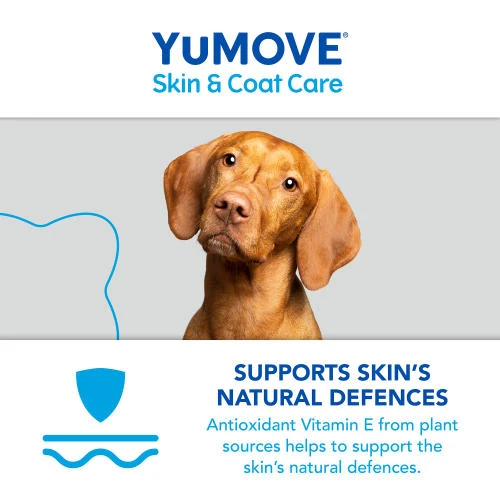 YuMOVE Skin & Coat Care Moulting For Adult Dogs 9 YuMOVE Skin & Coat Care Moulting For Adult Dogs - Image 7