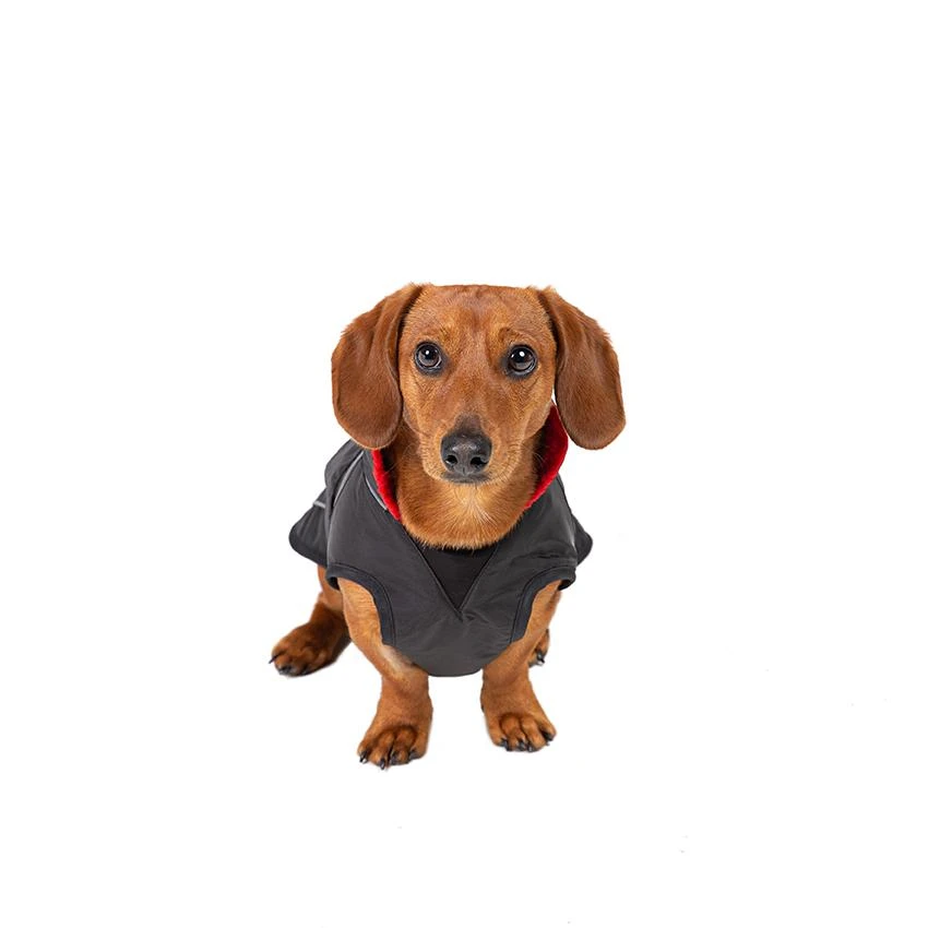 Dryrobe - Dog Black/Red 4 Dryrobe - Dog Black/Red - Image 2