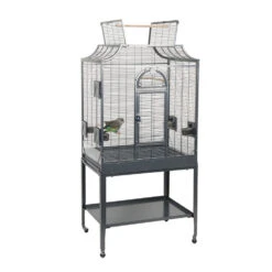 Sky Pet Products Amazona II Bird Cage