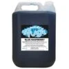 Cool City Slush Syrup - Blue Raspberry 2 X 5Ltr - Low In Sugar! 2 Cool City Slush Syrup - Blue Raspberry 2 X 5Ltr - Low In Sugar! -Craghoppers shop blue rasberry