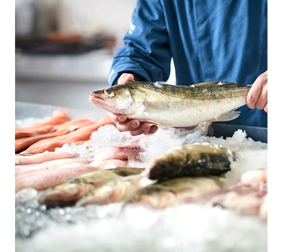 Quattro Commercial Ice Flaker 85kg Per Day With 20kg Storage Bin 6 Quattro Commercial Ice Flaker 85kg Per Day With 20kg Storage Bin - Image 4