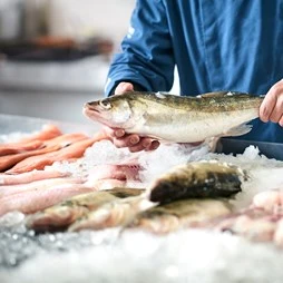 Quattro Commercial Ice Flaker 85kg Per Day With 20kg Storage Bin 4 Quattro Commercial Ice Flaker 85kg Per Day With 20kg Storage Bin - Image 2