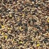 Johnston & Jeff Canary Favourite Mixed Seed 20kg -Craghoppers shop s l300